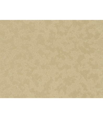 фото Rasch Dovizia 2015 575545