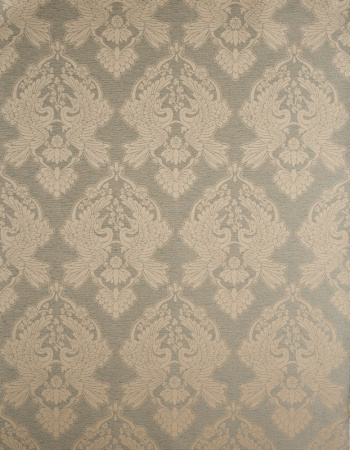 фото Calcutta Elegance elegance-111012-veronese-shearwater