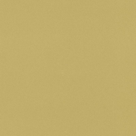 фото Rasch Globe 612042