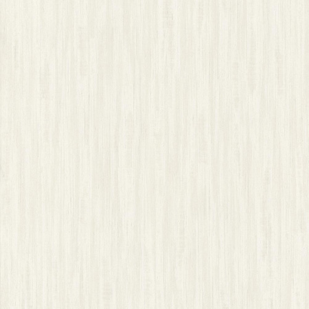 фото Rasch Barbara Home 2 XL 802801 (536300)