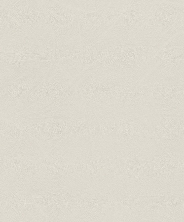 фото Rasch Shiny Chic 403640