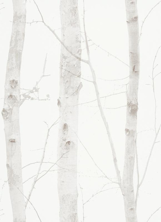 фото Erismann Nordic Summer 1782-02