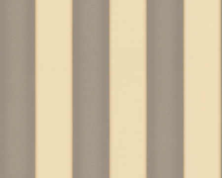 фото A.S.Creation Versace Wallpaper 935465