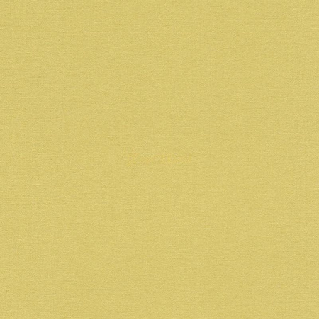 фото Rasch Florentine 2 (2019) 449839