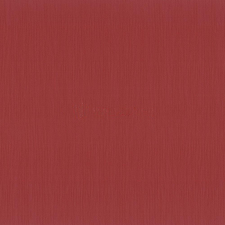 фото P+S International Finesse 05640-40