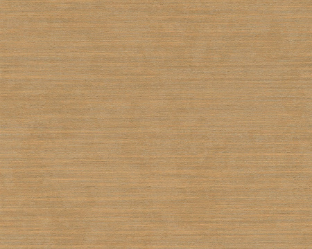 фото A.S.Creation Titanium 2 36006-6