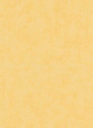 фото Erismann Prime Time Vol.2 6340-03