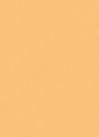 фото Erismann Prime Time 7352-04