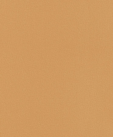фото Rasch Selection 789157