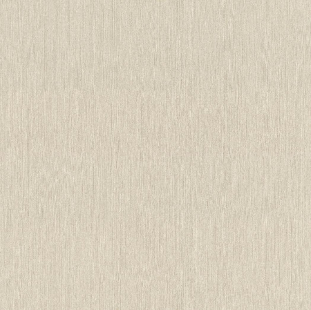 фото Rasch Barbara Home 2 XL 800524 (537123)