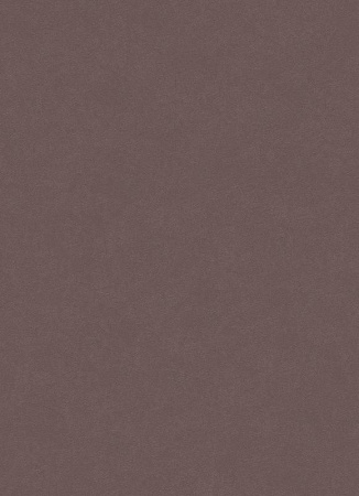 фото Erismann City Glam 5958-37