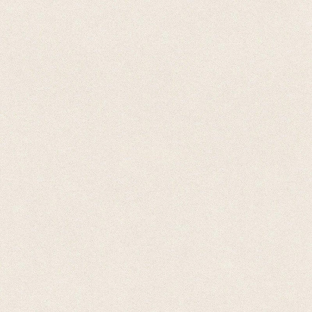 фото Rasch Crispy Paper 527001