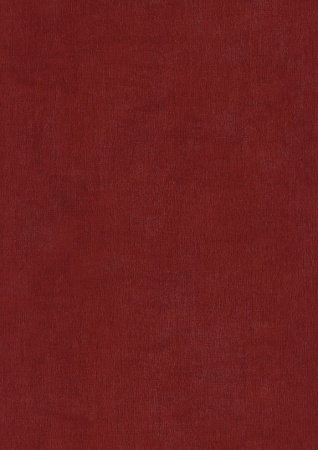 фото BN International Color Stories BN 46016