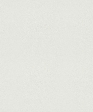 фото Rasch Modern Surfaces 2 604016