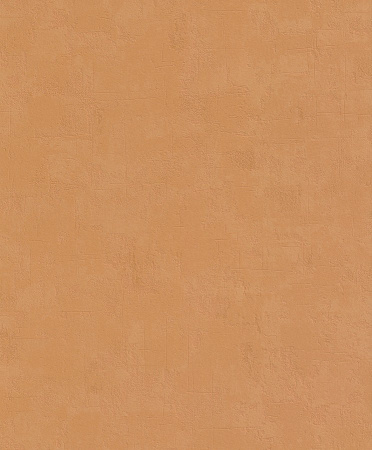 фото Rasch Modern Surfaces 831788