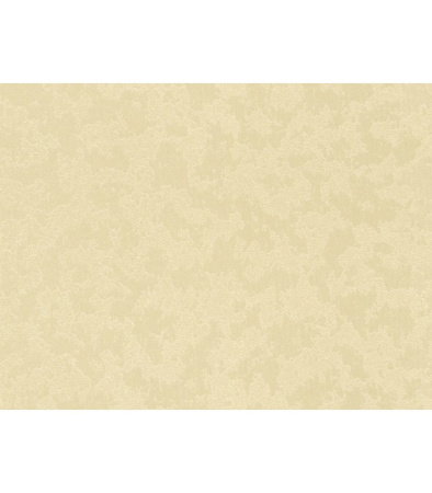 фото Rasch Dovizia 2015 575514