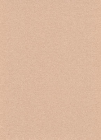 фото Erismann Arezzo 5133-50