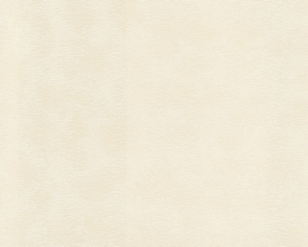 фото A.S.Creation Versace Wallpaper 935703