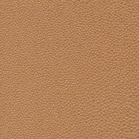 фото Marburg Opulence Giulia 51357