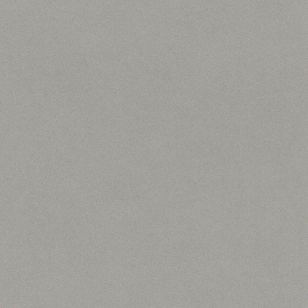 фото Rasch Crispy Paper 527025