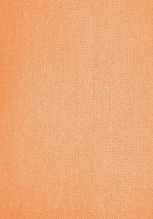 фото Erismann Cordoba 5646-27