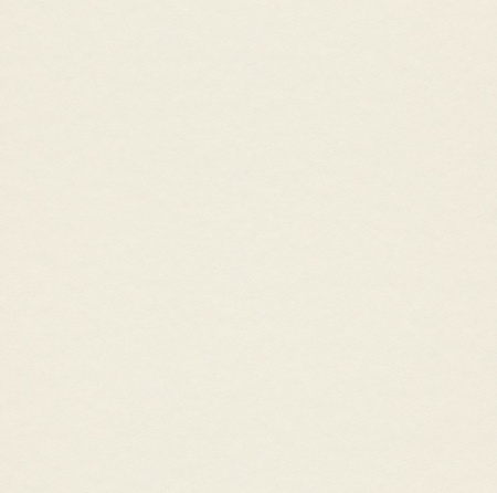 фото Rasch Cosy White 2015 269269