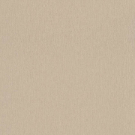 фото Rasch Plaisir 2016 722734