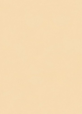 фото Erismann City Glam 5958-02