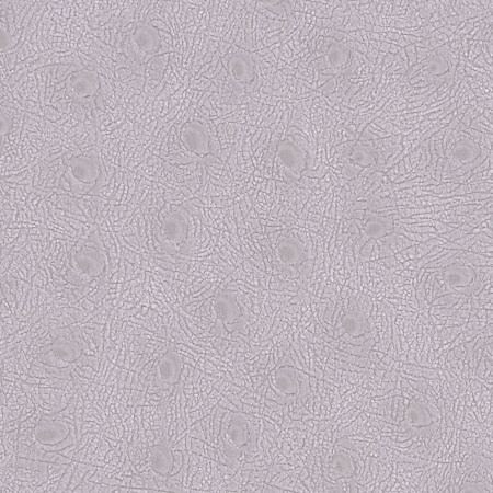 фото Marburg Opulence Giulia 51312