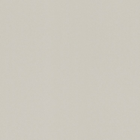 фото Rasch Modern Surfaces 2 515619
