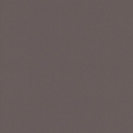 фото Rasch Plaisir 2016 723908