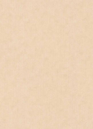 фото Erismann BasiXs 6488-14
