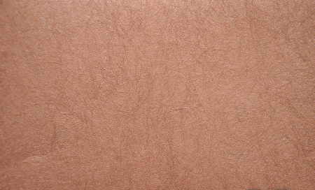 фото Rasch Gentle Divine 216027