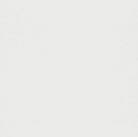 фото Rasch Cosy White 2015 269252