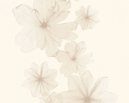 фото A.S.Creation X-Ray 34272-1