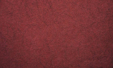 фото Rasch Gentle Divine 96633