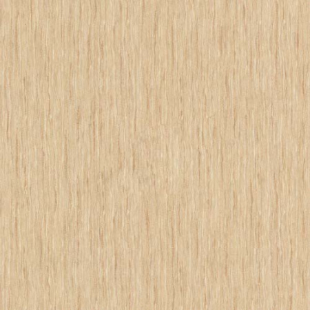 фото Rasch Maximum 8 686111