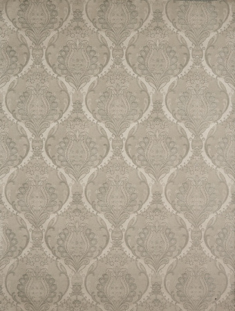 фото Calcutta Elegance elegance-111029-verdon-heron