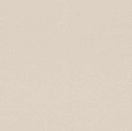 фото Rasch Cosy White 2015 269375