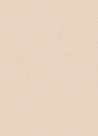 фото Erismann City Glam 5958-25