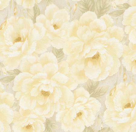 фото Rasch Maximum XII 928525