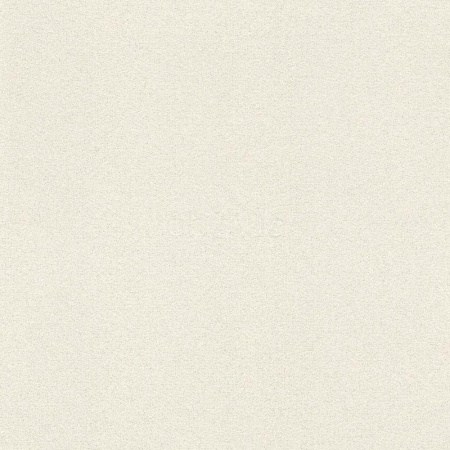 фото Rasch Sparkling 898231
