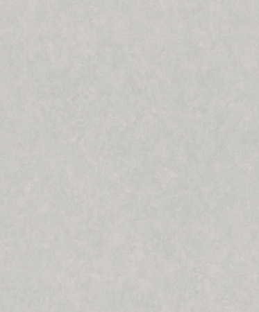 фото Rasch Modern Surfaces 2 512649