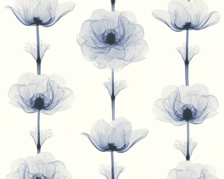 фото A.S.Creation X-Ray 34273-1