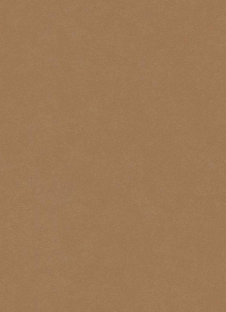 фото Erismann City Glam 5958-11