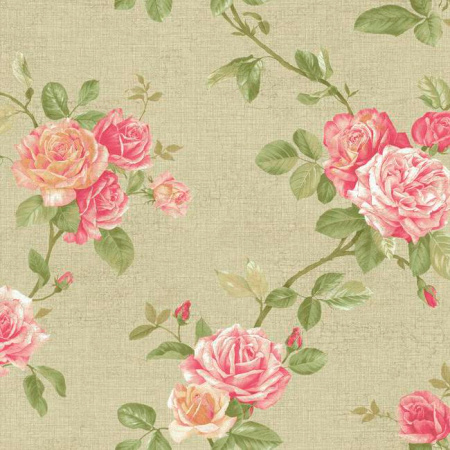 фото York Roses pn0475