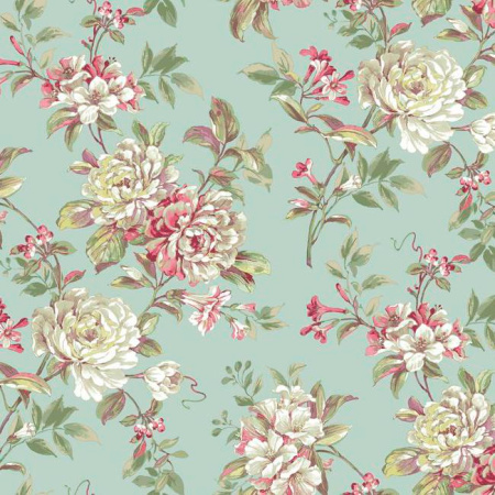 фото York Roses pn0436