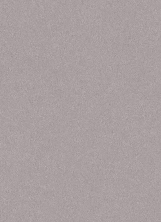 фото Erismann City Glam 5958-47