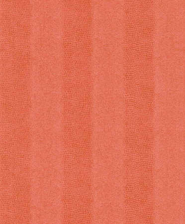 фото Rasch Pop Skin 482881