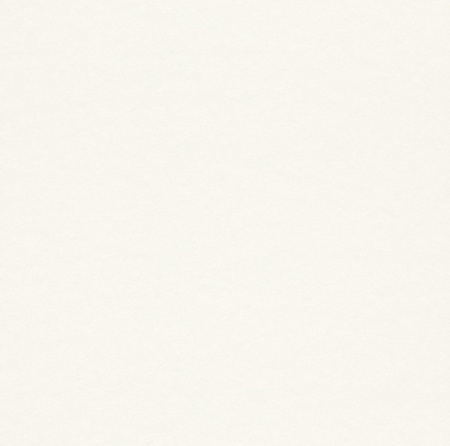 фото Rasch Cosy White 2015 269245